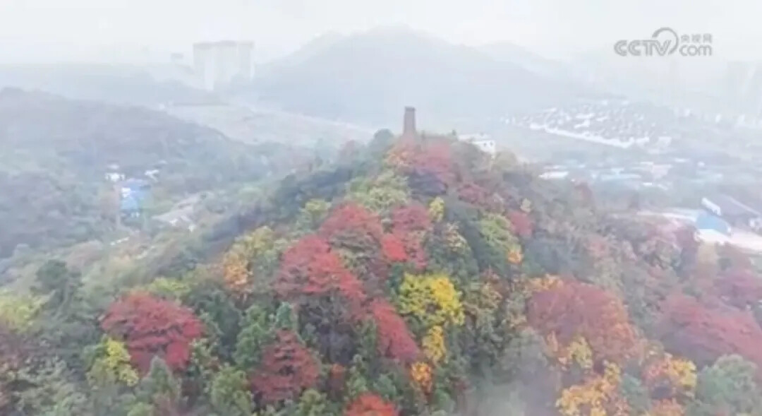 央视聚焦铜官山冬日盛景 文旅融合彰显皖风徽韵
