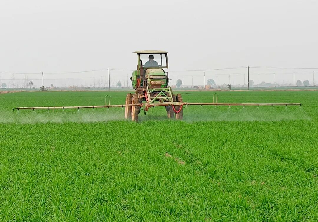 义安区:冬管正当时 丰收有保障