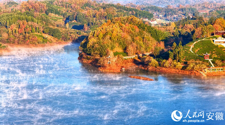 安徽向前丨金寨“養(yǎng)心”記