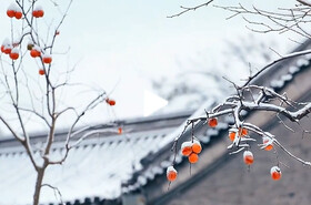 冬至團(tuán)圓暖 鮮自東海來