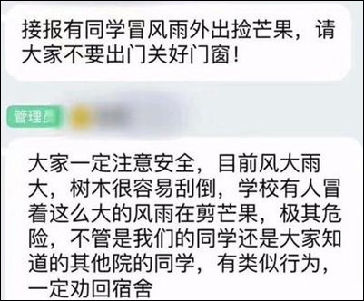 臺風(fēng)瑪莉亞登陸福建 市民拿麻袋上街撿吹落芒果