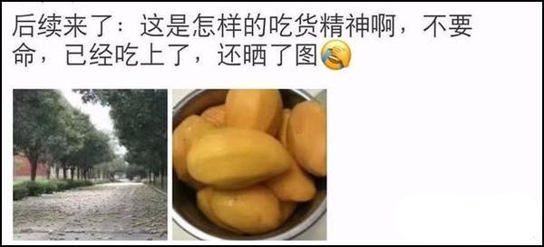 台风玛莉亚登陆福建 市民拿麻袋上街捡吹落芒果