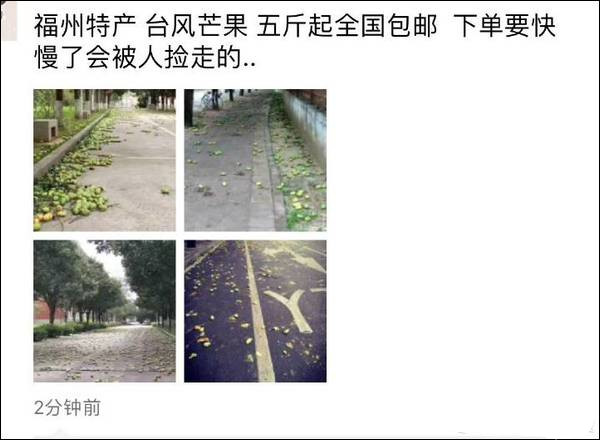 臺風(fēng)瑪莉亞登陸福建 市民拿麻袋上街撿吹落芒果