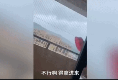 臺風(fēng)瑪莉亞登陸福建 市民拿麻袋上街撿吹落芒果