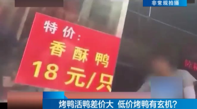 合肥18元烤鴨調(diào)查:養(yǎng)殖場(chǎng)約30天出欄 鴨毛都沒長全