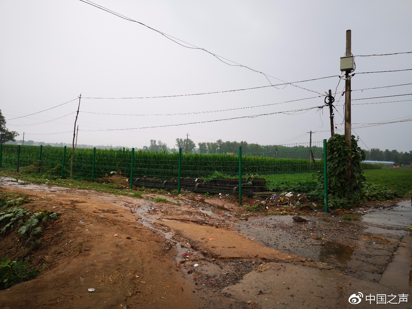 涉案土地被政府背景的文森公司用圍欄圈了起來