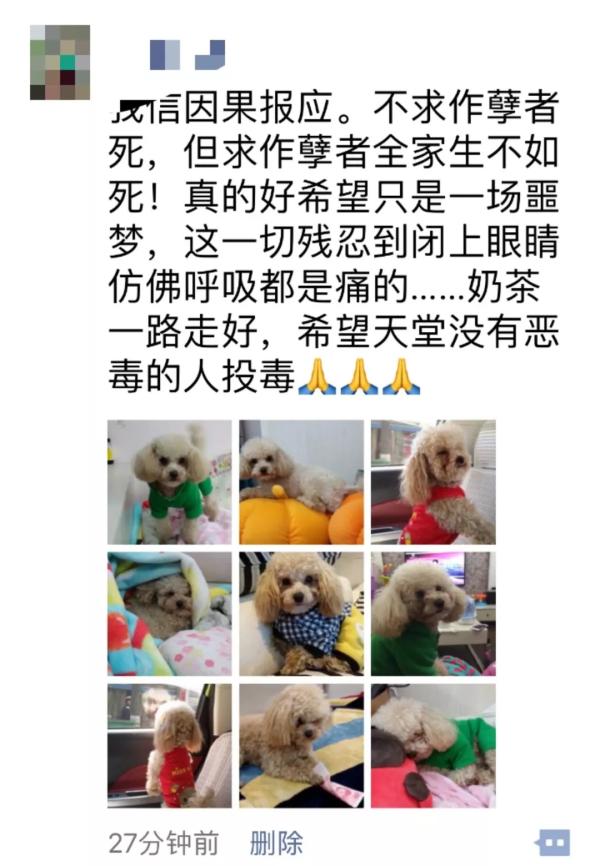 小區(qū)20多只寵物狗被團滅 草地曾出現(xiàn)神秘米飯