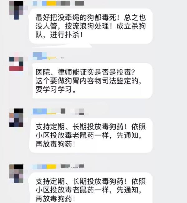 小區(qū)20多只寵物狗被團滅 草地曾出現(xiàn)神秘米飯