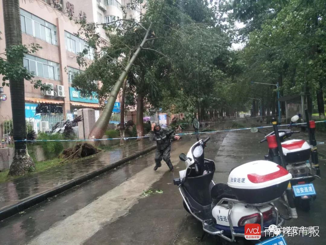 广东高校遭山竹扫荡 老师:穿过森林才能到办公室