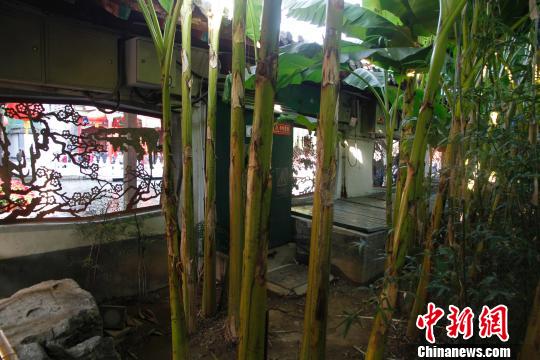 圖為，網(wǎng)傳配電箱?！O婷婷 攝