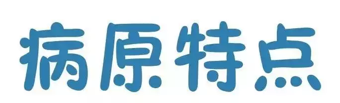 貴州省凱里市暫時(shí)關(guān)閉全市所有生豬交易市場