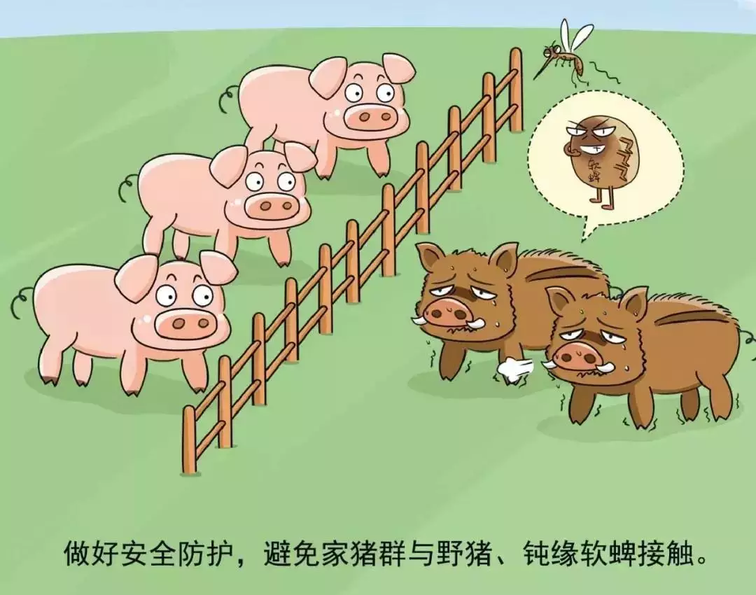 貴州省凱里市暫時(shí)關(guān)閉全市所有生豬交易市場