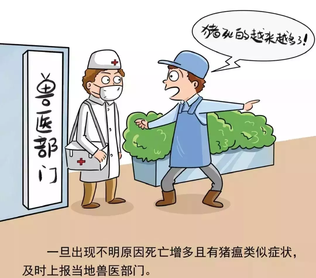 貴州省凱里市暫時(shí)關(guān)閉全市所有生豬交易市場