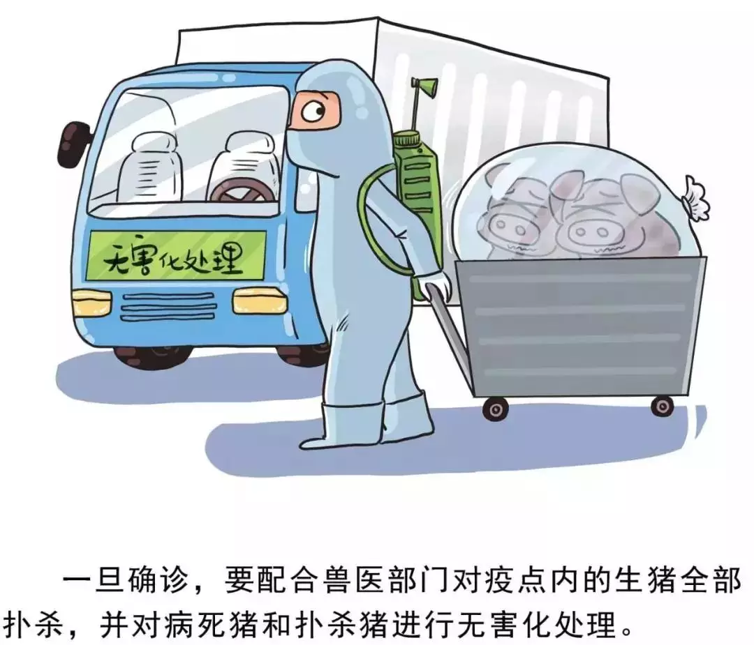 貴州省凱里市暫時(shí)關(guān)閉全市所有生豬交易市場
