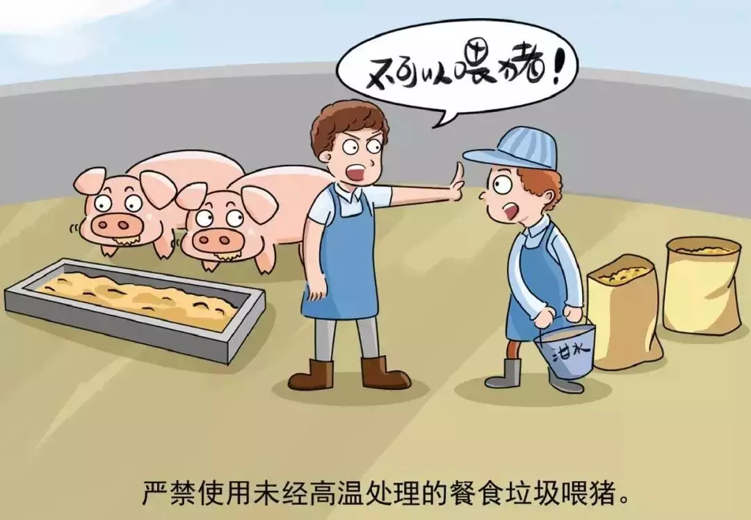 貴州省凱里市暫時(shí)關(guān)閉全市所有生豬交易市場