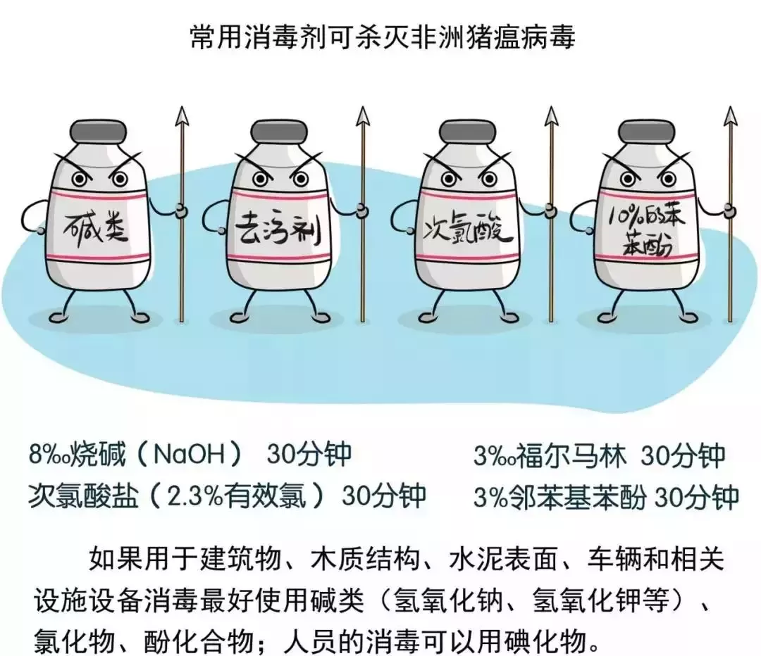 貴州省凱里市暫時(shí)關(guān)閉全市所有生豬交易市場