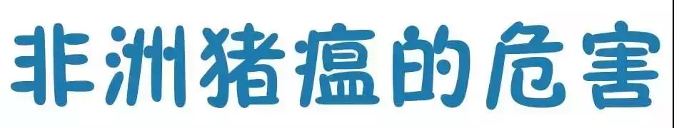 貴州省凱里市暫時(shí)關(guān)閉全市所有生豬交易市場