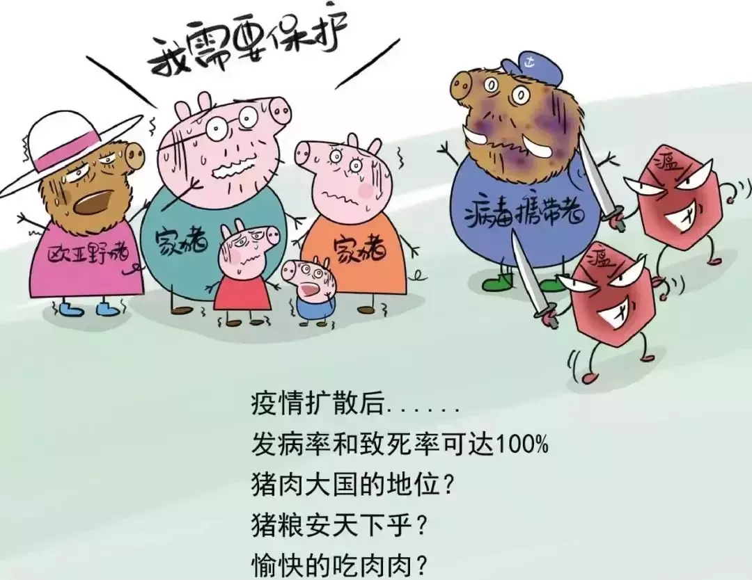 貴州省凱里市暫時(shí)關(guān)閉全市所有生豬交易市場