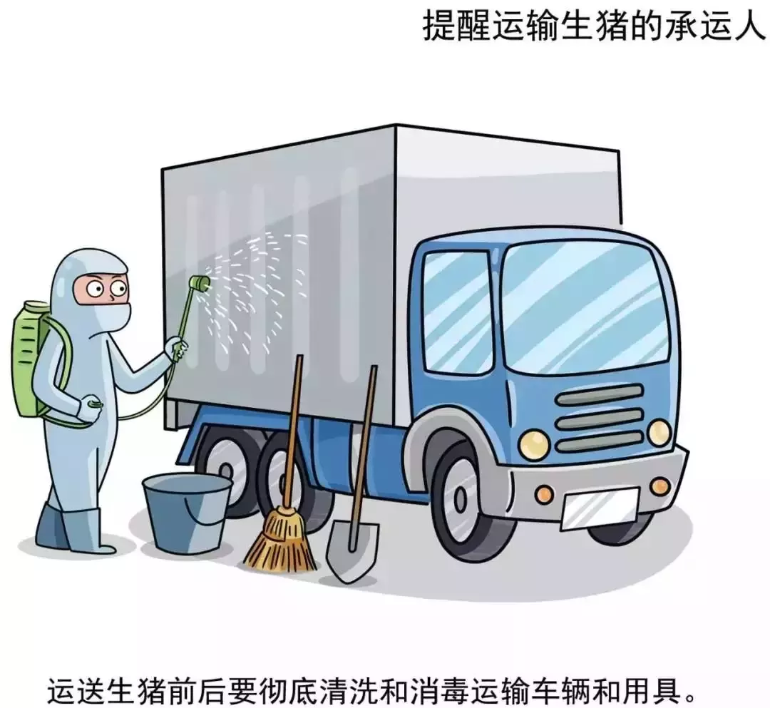貴州省凱里市暫時(shí)關(guān)閉全市所有生豬交易市場