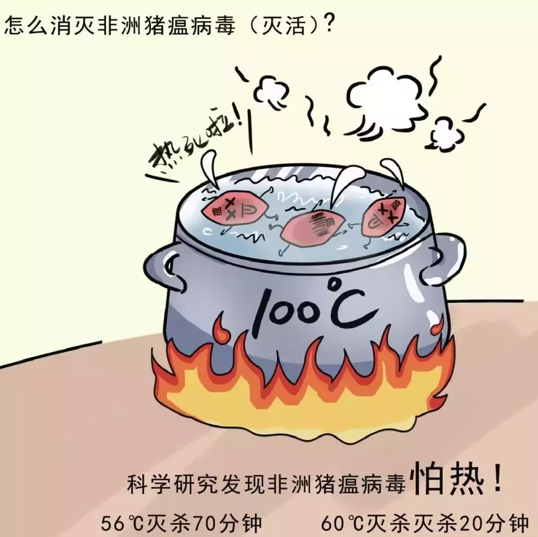 貴州省凱里市暫時(shí)關(guān)閉全市所有生豬交易市場