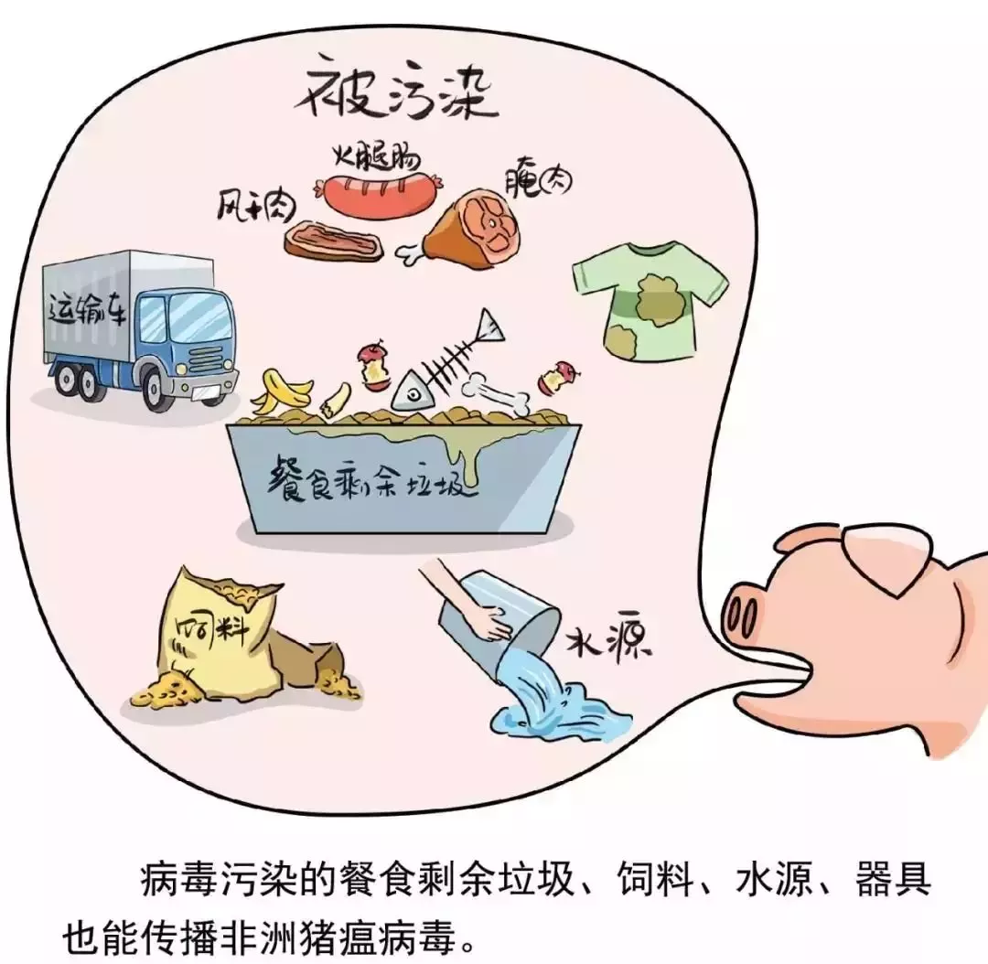 貴州省凱里市暫時(shí)關(guān)閉全市所有生豬交易市場