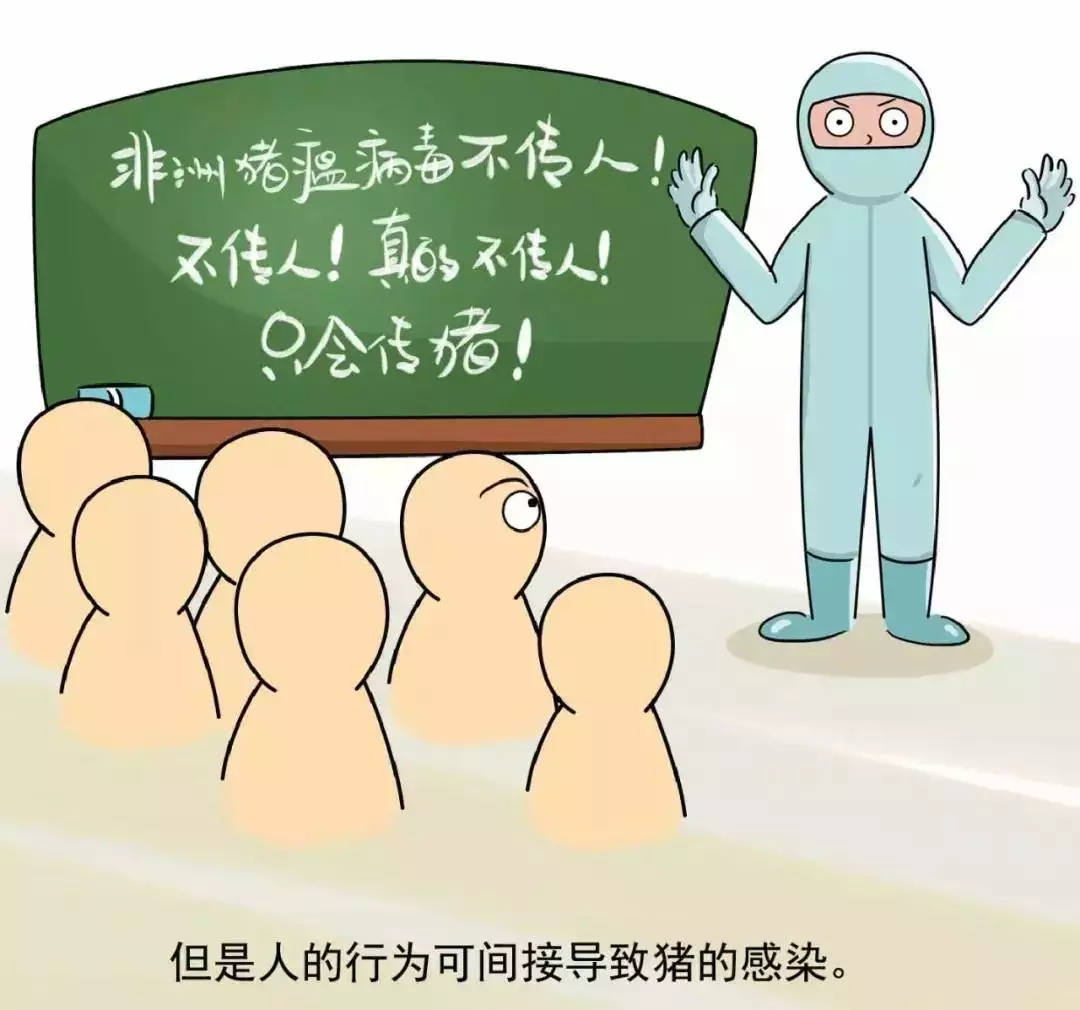 貴州省凱里市暫時(shí)關(guān)閉全市所有生豬交易市場