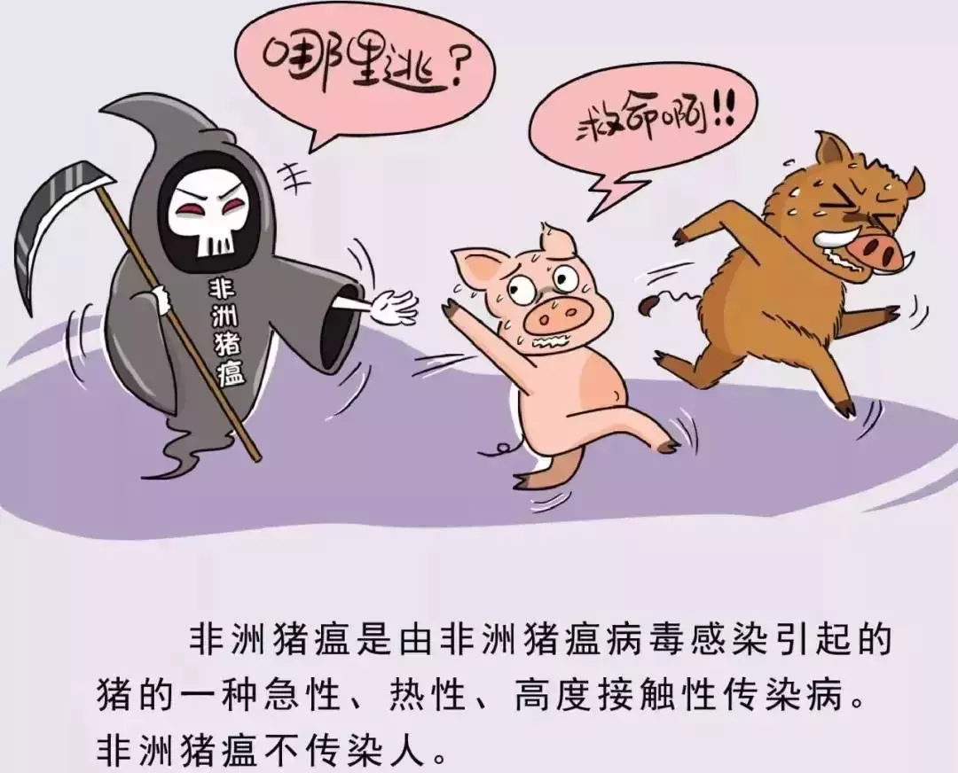 貴州省凱里市暫時(shí)關(guān)閉全市所有生豬交易市場