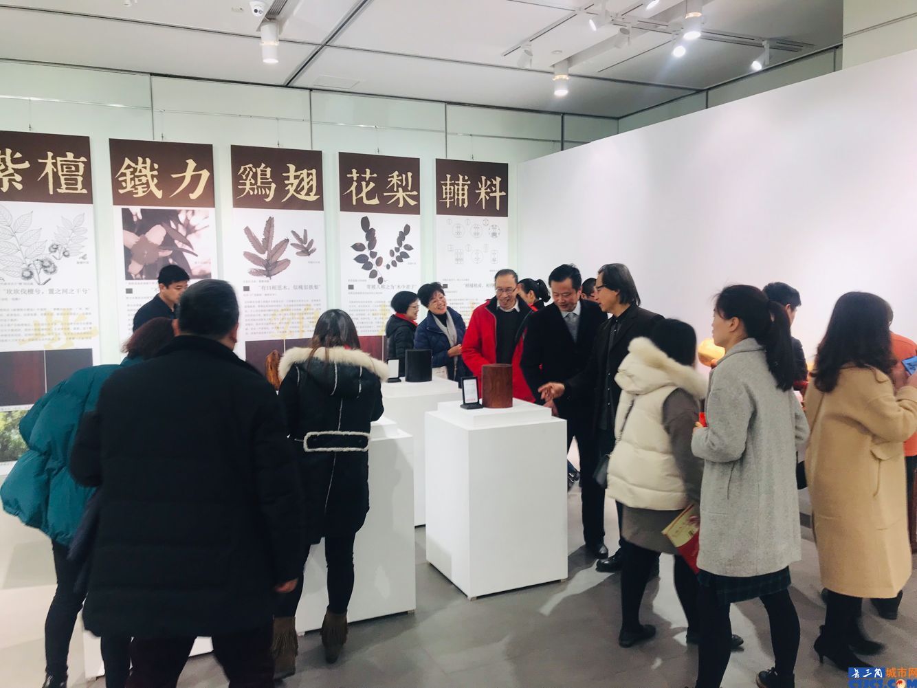 QQ圖片20190125165159.jpg