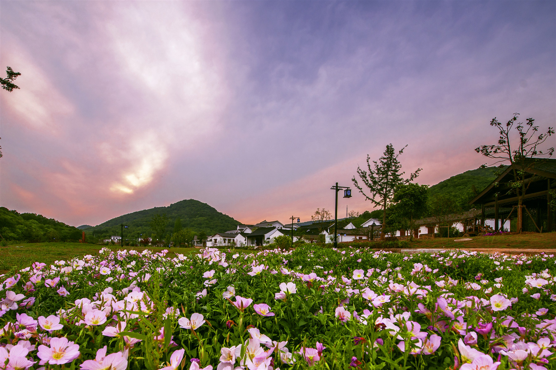 不老村.jpg