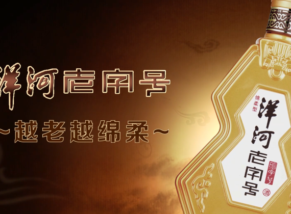 洋河股份 老字号