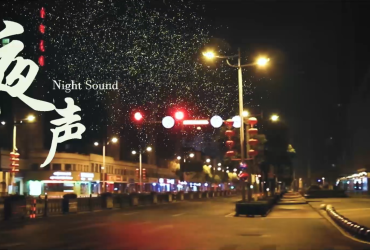 《夜声》丨第二届中国长三角（盐城大纵湖）微电影大赛获奖作品展播