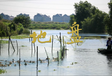 《地盘》丨第二届中国长三角（盐城大纵湖）微电影大赛获奖作品展播