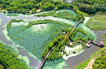 苏州同里国家湿地公园：文旅融合走出可持续发展之路