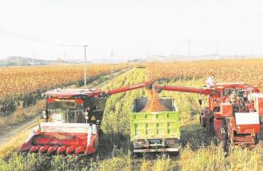 宿州打造现代农业产业化联合体实践探索