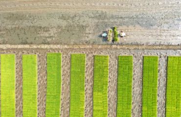 温州乐清：深耕农业产业化 跑出发展“加速度”