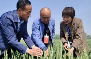 亳州：科技赋能，“慧”就农业新图景