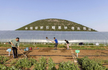 淮北探索农旅融合促乡村振兴新路