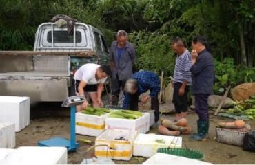 生态产品价值倍增 丽水云和激活梯田资源GEP转化
