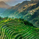 安徽省新增3项中国重要农业文化遗产