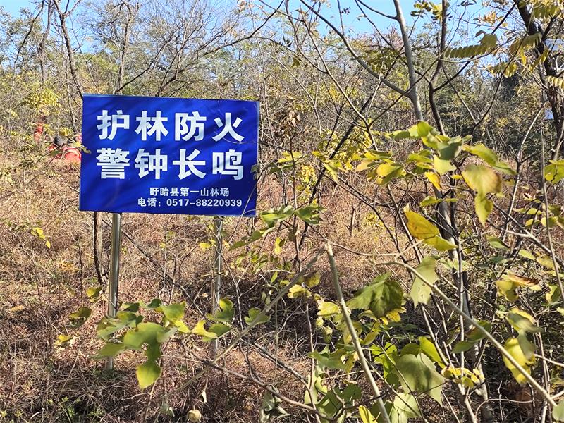 圖片3.jpg