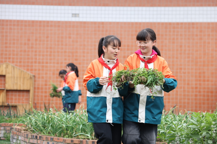 少先队员们在长丰县实验小学空中农场给蔬菜除草。