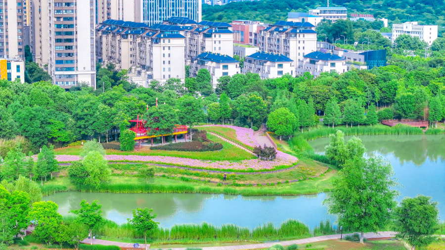 DJI_20240528165204_0627_D_副本.jpg