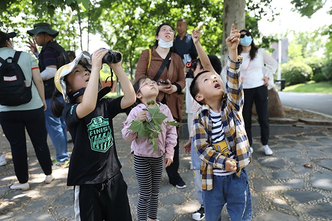 合報小仙的自然派正在植物園組織生態(tài)科普活動