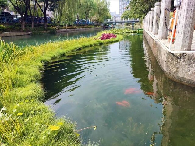 微信图片_20240905100804.jpg