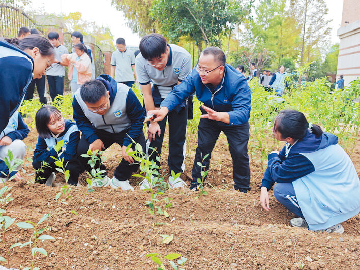 安农大高级农艺师胡绍德（右二）教高中生种植茶树。