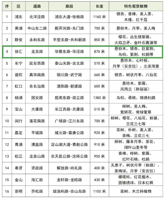 微信圖片_2024-12-09_142918_124.png