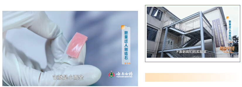 生物打印3D胆管癌芯片.png