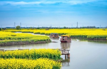 泰州高港：居家养老价格实在，上门服务明白消费