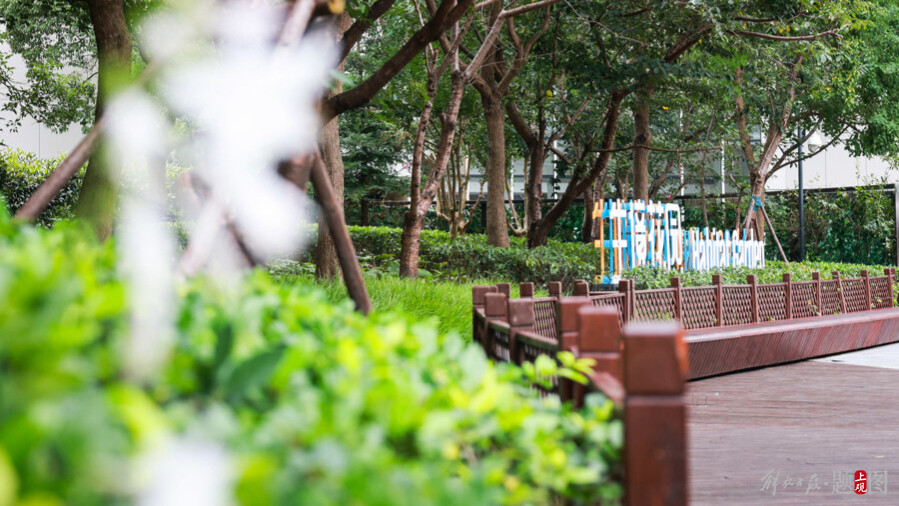 位于虹橋南豐城的上海首座商業(yè)體內(nèi)生境花園。記者 海沙爾 攝.jpg