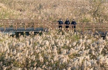 湿地冬巡护生态